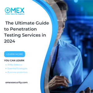 penetration testing services